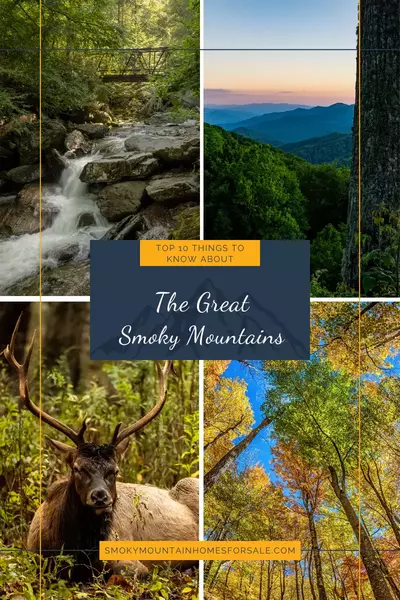 top-10-things-to-know-about-the-smokies