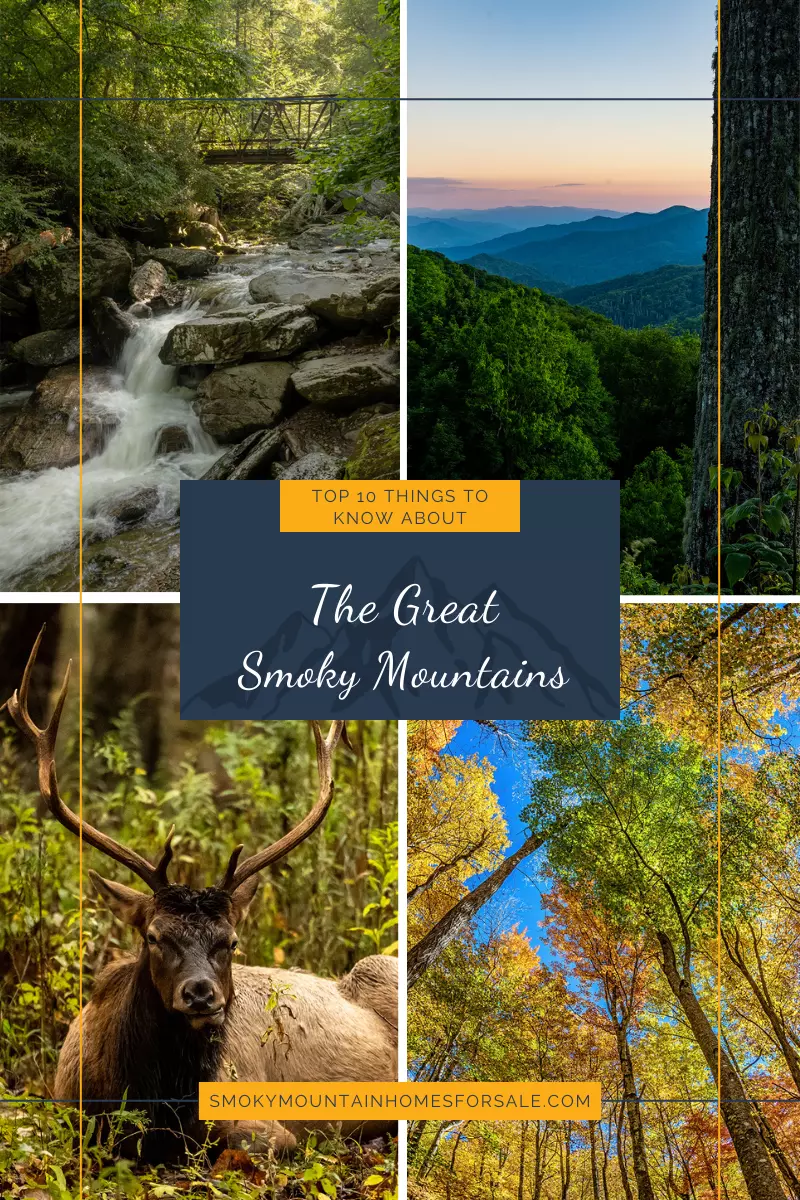 top-10-things-to-know-about-the-smokies