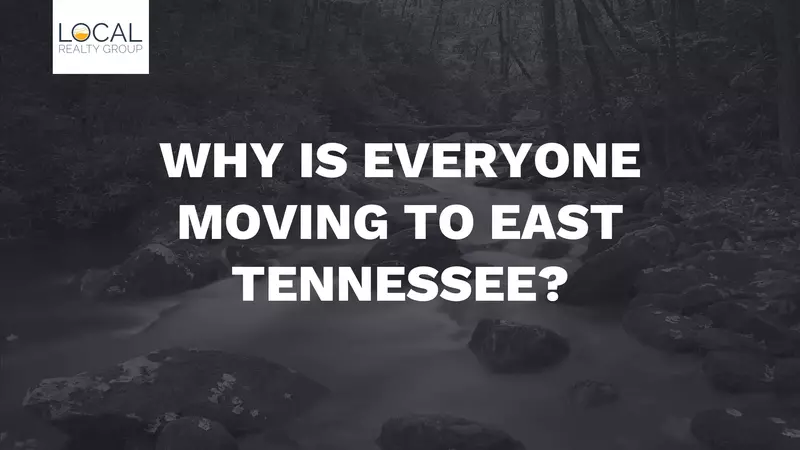 Why is everyone moving to East Tennessee?