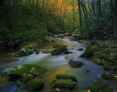 Smoky-Mountains-1