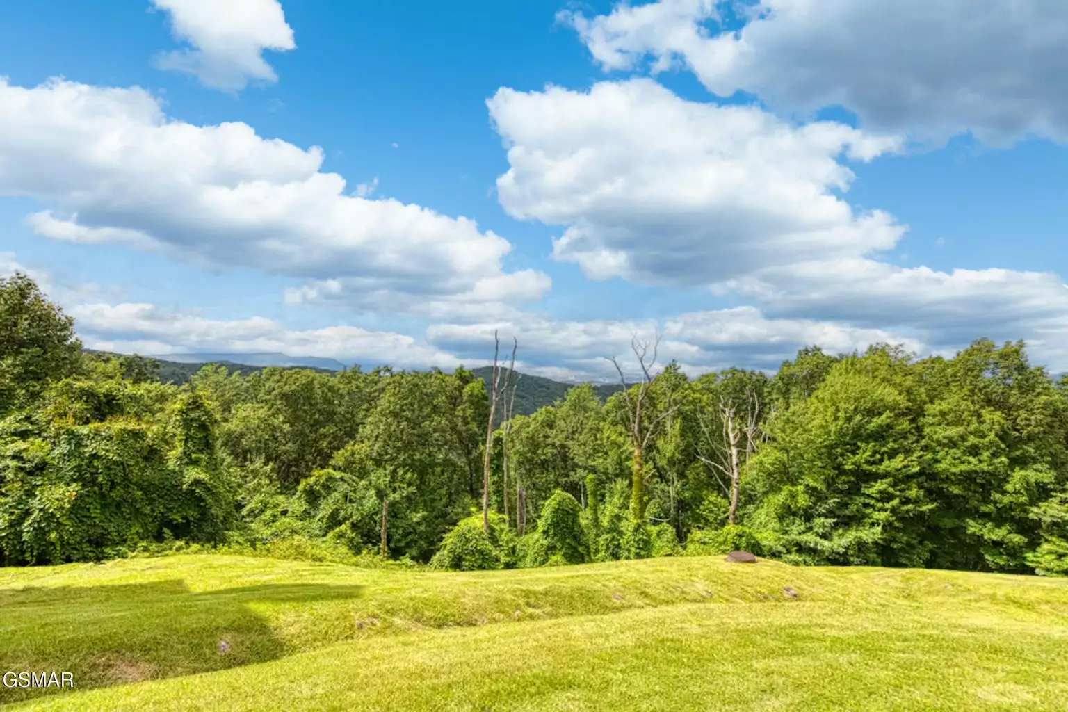 1260 Ski View Dr, 5106