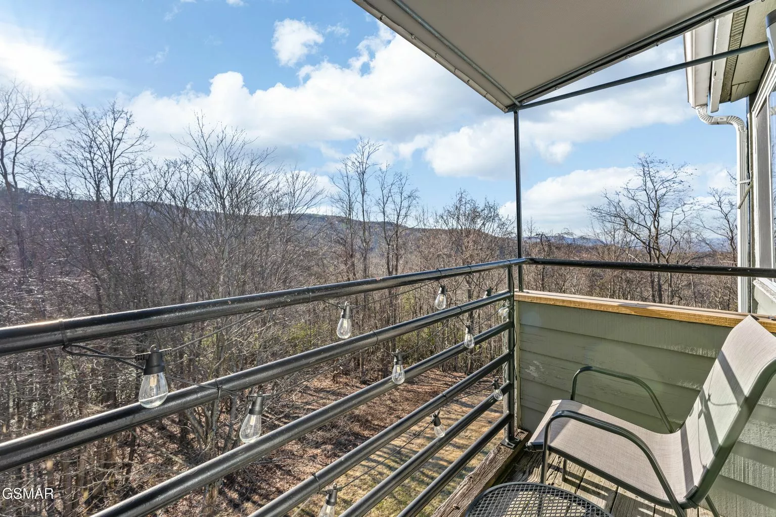 1260 Ski View Dr, 3308