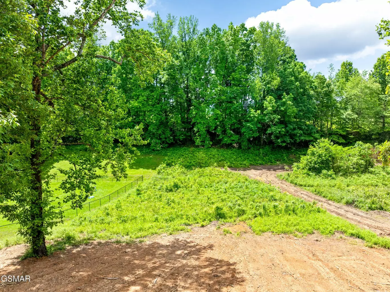 2319 Geraldine Way
