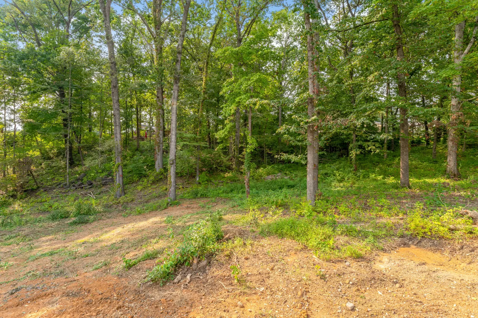 2326 Geraldine Way