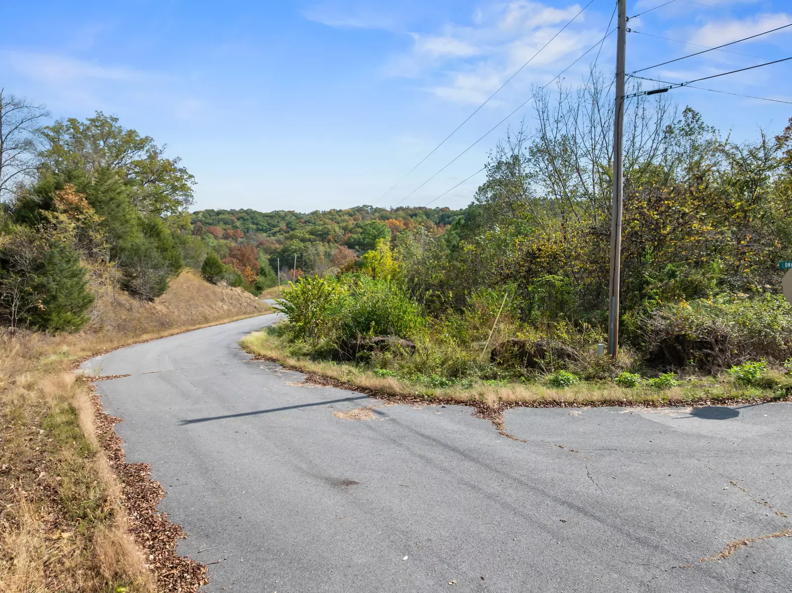 LoT 57 Fork Horn Trl