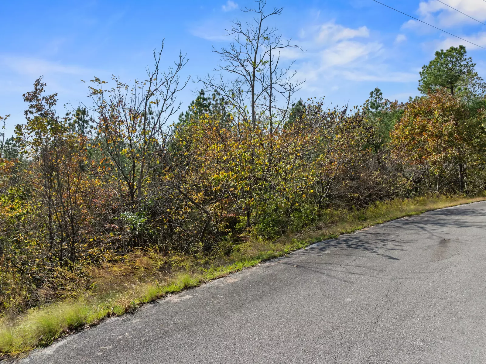 LoT 57 Fork Horn Trl