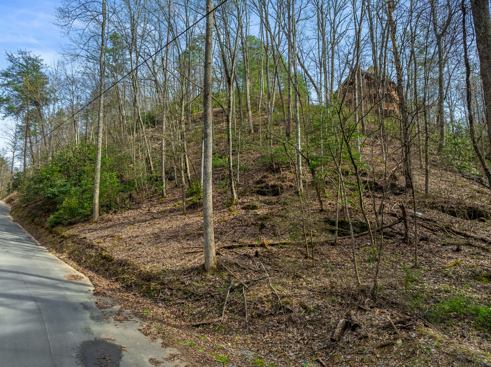 4210 S Boogertown Road