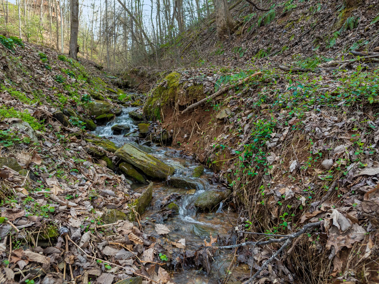 4210 S Boogertown Road