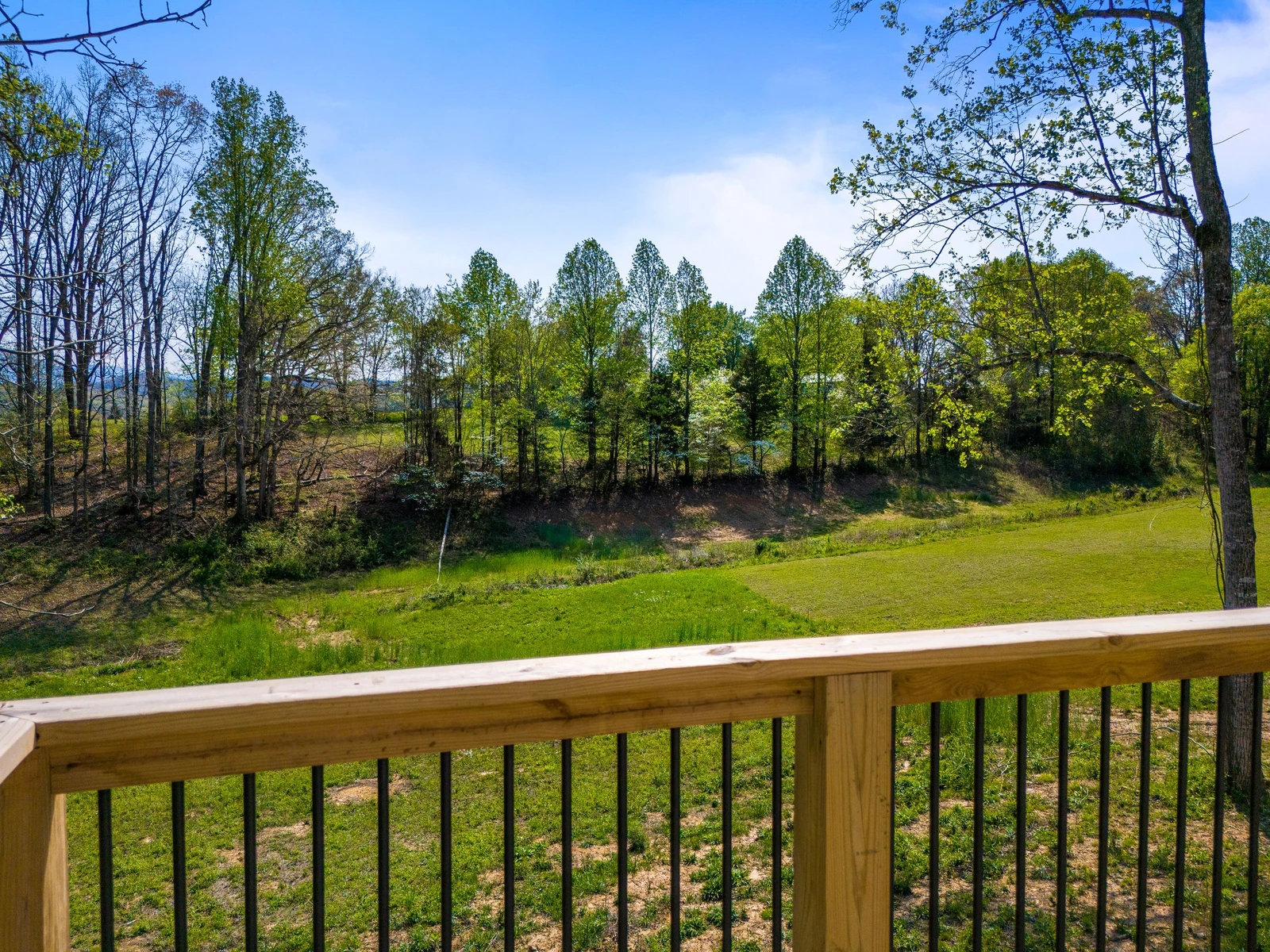 2319 Geraldine Way