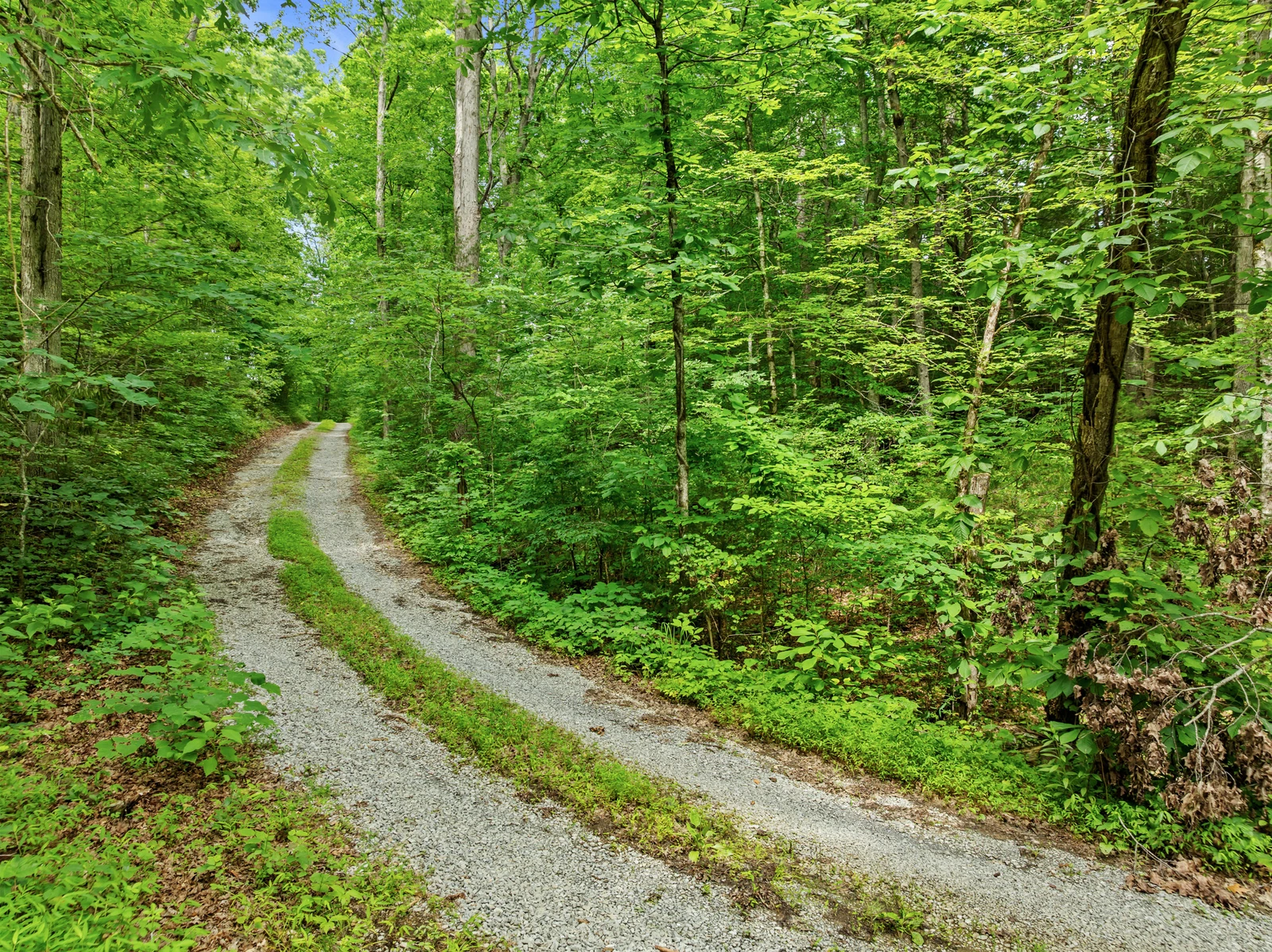 240 Bob Hollow Road