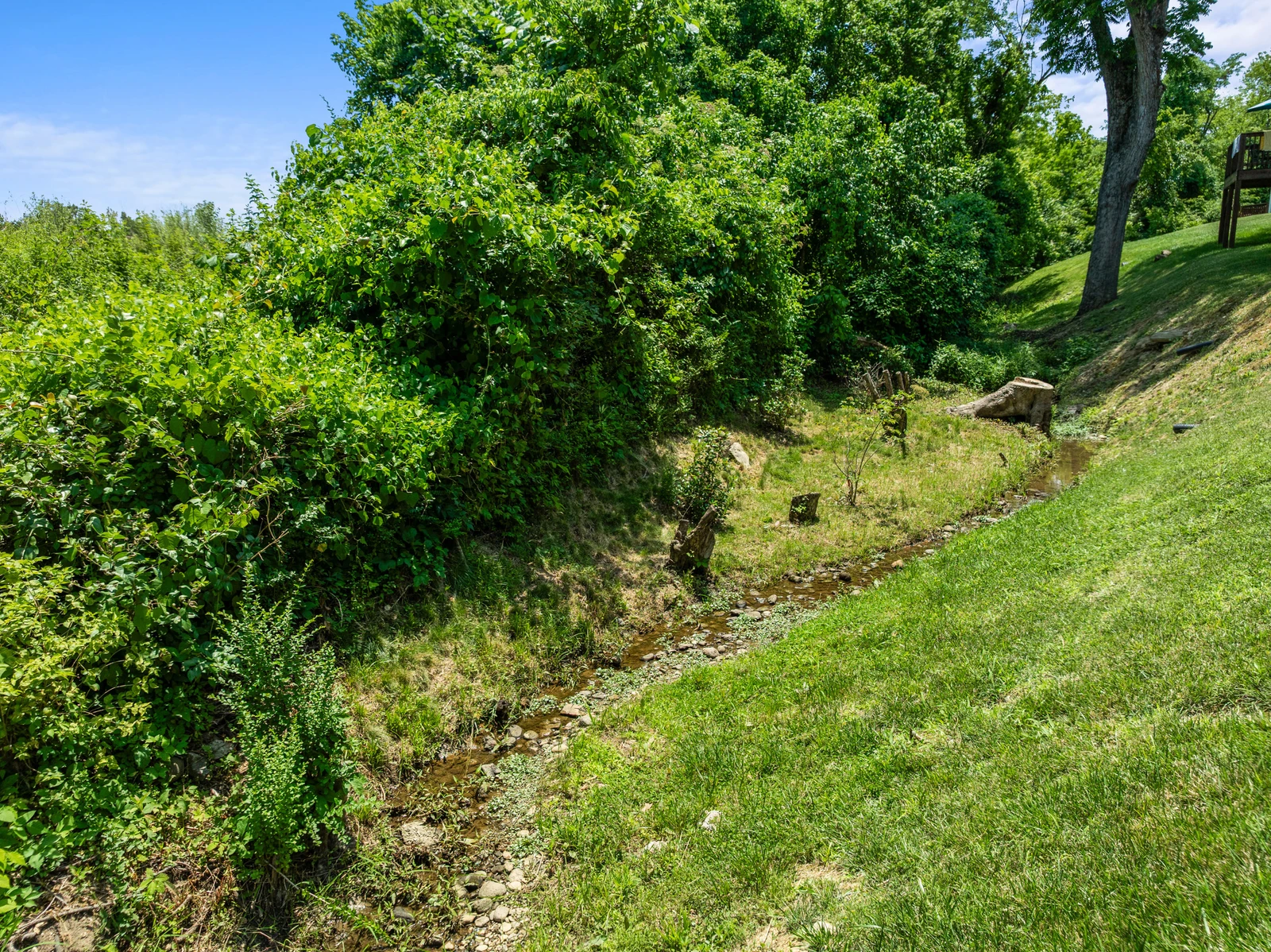 154 Mayapple Way