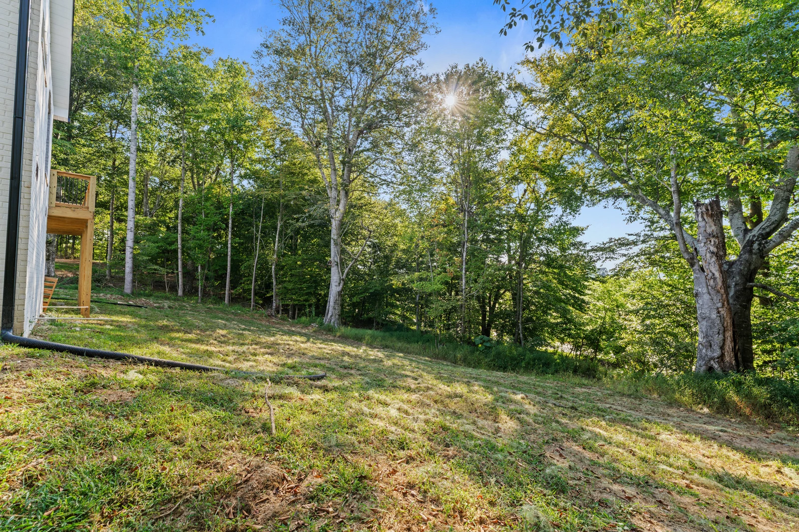 1430 Beechtop Ln
