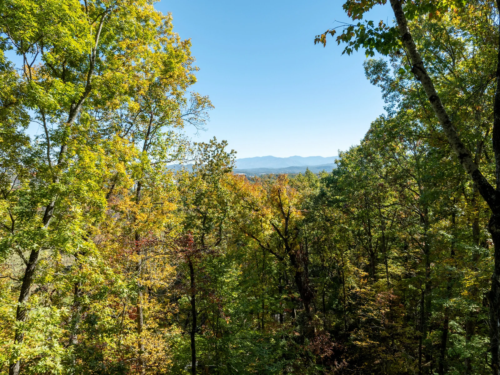 742 Lloyd Huskey Rd